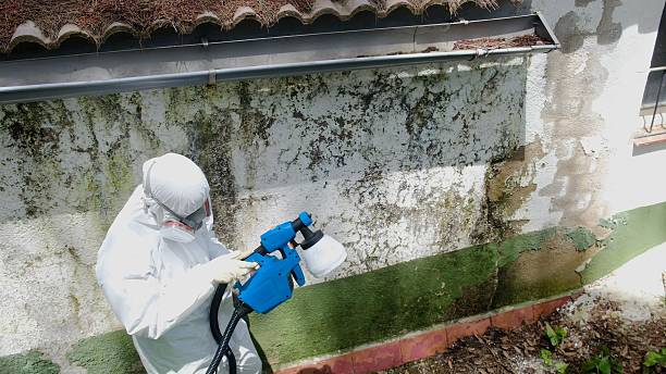 Trusted Mold Remediation service in Smithsburg, MD - Cheap Mold Removal